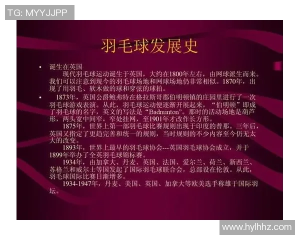 羽毛球战术解析：深入探讨杭州羽毛球队的防守与反击策略